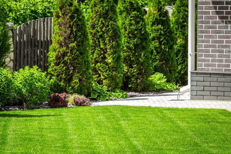 Fresh Cut Lawn | Lawn Mowing Services by Lawn Connections