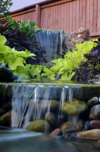 Custom Water Feature